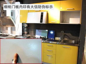 大信抗菌板系列橱柜 百姓家庭的厨房优选